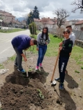 Клуб "Приятели на природата - здрави в бъдеще" засади фиданки